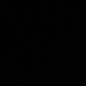 Meet your Posher, Sienna